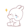 ️ Rabbit     MOV 5