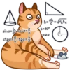 Memes With Cats 7