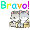 Bravo ️ Mov 6