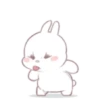 ️ Rabbit     MOV 7