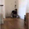 Reações animadas 5