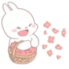 ️ Rabbit     MOV 9