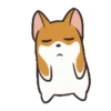 Puppy dog 5