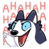 Siberian Husky 6