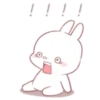 ️ Rabbit     MOV 10