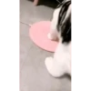 Más Gatitos 10 (Mov) 5