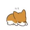 Puppy dog 10