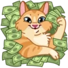 Memes With Cats 15