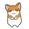 Puppy dog 12