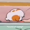 *sound of crying*