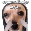 se me metio algo al ojo... heyddyreyes
