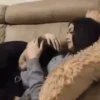 Cute couple 9