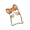Puppy dog 13