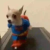 Perritos 1 15