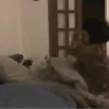 Bebé coreana 2 13