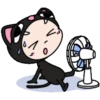 MIAU MIAU    mov 12