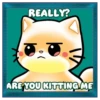 Mochimons 2 🐱 🇲🇽Moví 19