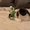 Gatitos Autenticos  Mov 15