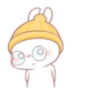 ️ Rabbit     MOV 16