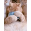 Mais gatinhos 9 22