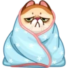 Memes With Cats 21