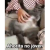 Variados 4 Mov 22