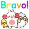 Bravo ️ Mov 23