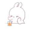 ️ Rabbit     MOV 19