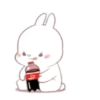 ️ Rabbit     MOV 21