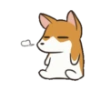 Puppy dog 21