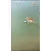 Mais gatinhos 9 27
