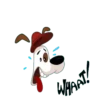 Dog Toko   Mov 11