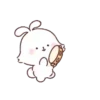 Angora Rabbit   Mov 12