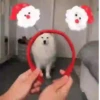 A͓̽n͓̽i͓̽m͓̽a͓̽l͓̽s͓̽ ͓̽i͓̽n͓̽ ͓̽C͓̽h͓̽r͓̽i͓̽s͓̽t͓̽m͓̽a͓̽s͓̽ Mov 27