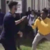 Pelea... pelea 25