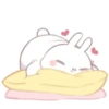 ️ Rabbit     MOV 26