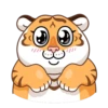 Grumpy Tiger 22