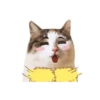 1 Expresiones Gatunas mov 20