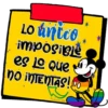Disney Rainbow 26