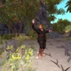 Pirates World Videos 9