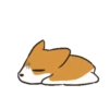Puppy dog 29