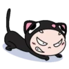 MIAU MIAU    mov 21