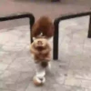 Perritos 1 28