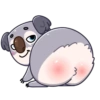 Full koala mov 22