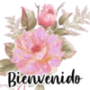 VARIOS DÍAS 11