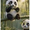 Pandas 2 🧸🇲🇽 9
