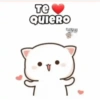 Amor Luci 21