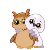 Birds mov 12
