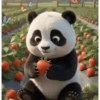Pandas 2 🧸🇲🇽 26