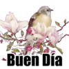 VARIOS DÍAS 19
